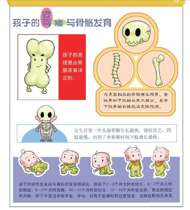 孩子的高矮和骨骼發(fā)育.jpg 孩子的高矮和骨骼發(fā)育.jpg
