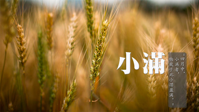 小滿麥秋至骨密度檢測(cè).jpg 小滿麥秋至骨密度檢測(cè).jpg